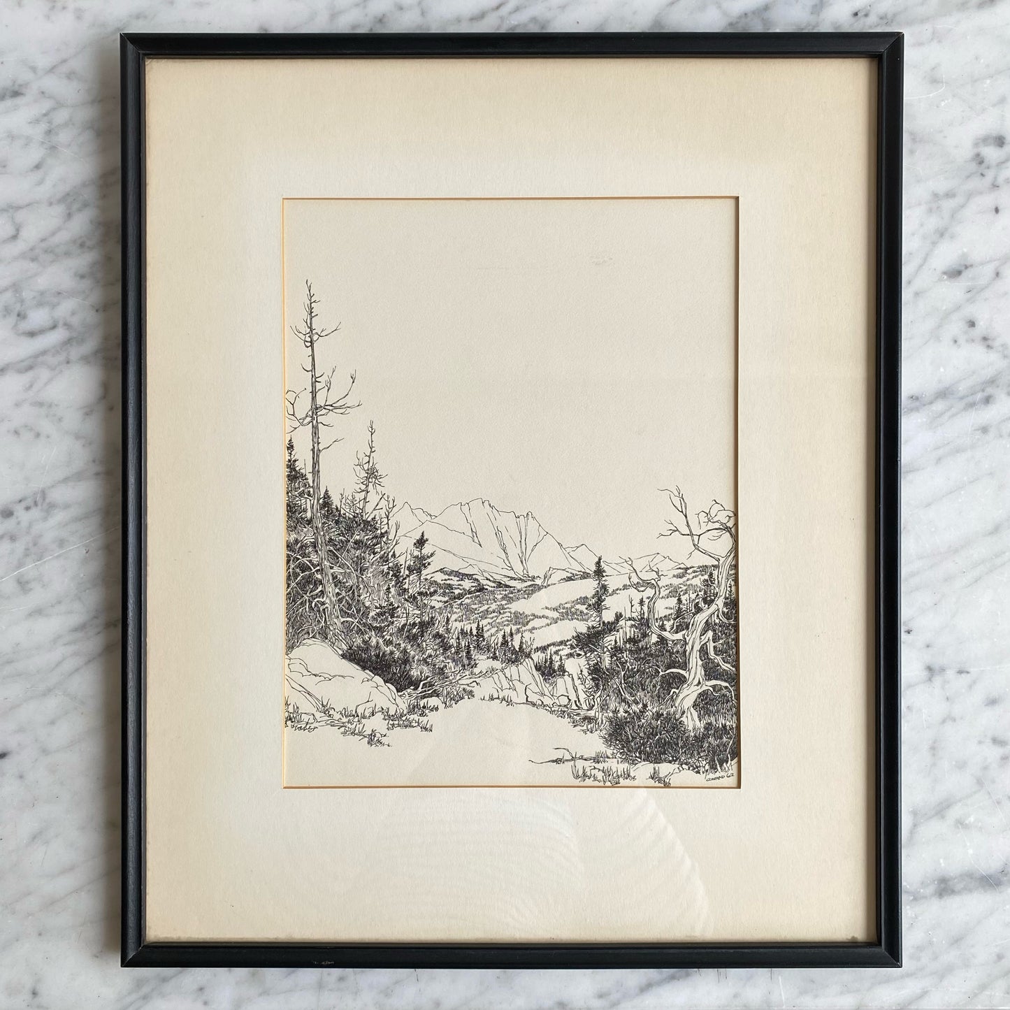 Vintage Framed Nature Etching Print (14 x 17)