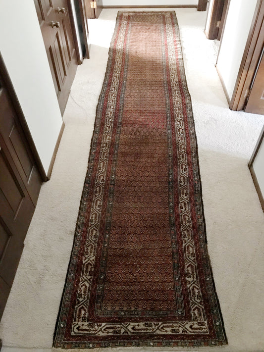 “LONNY” Antique Persian Runner (16.4 x 3.4)