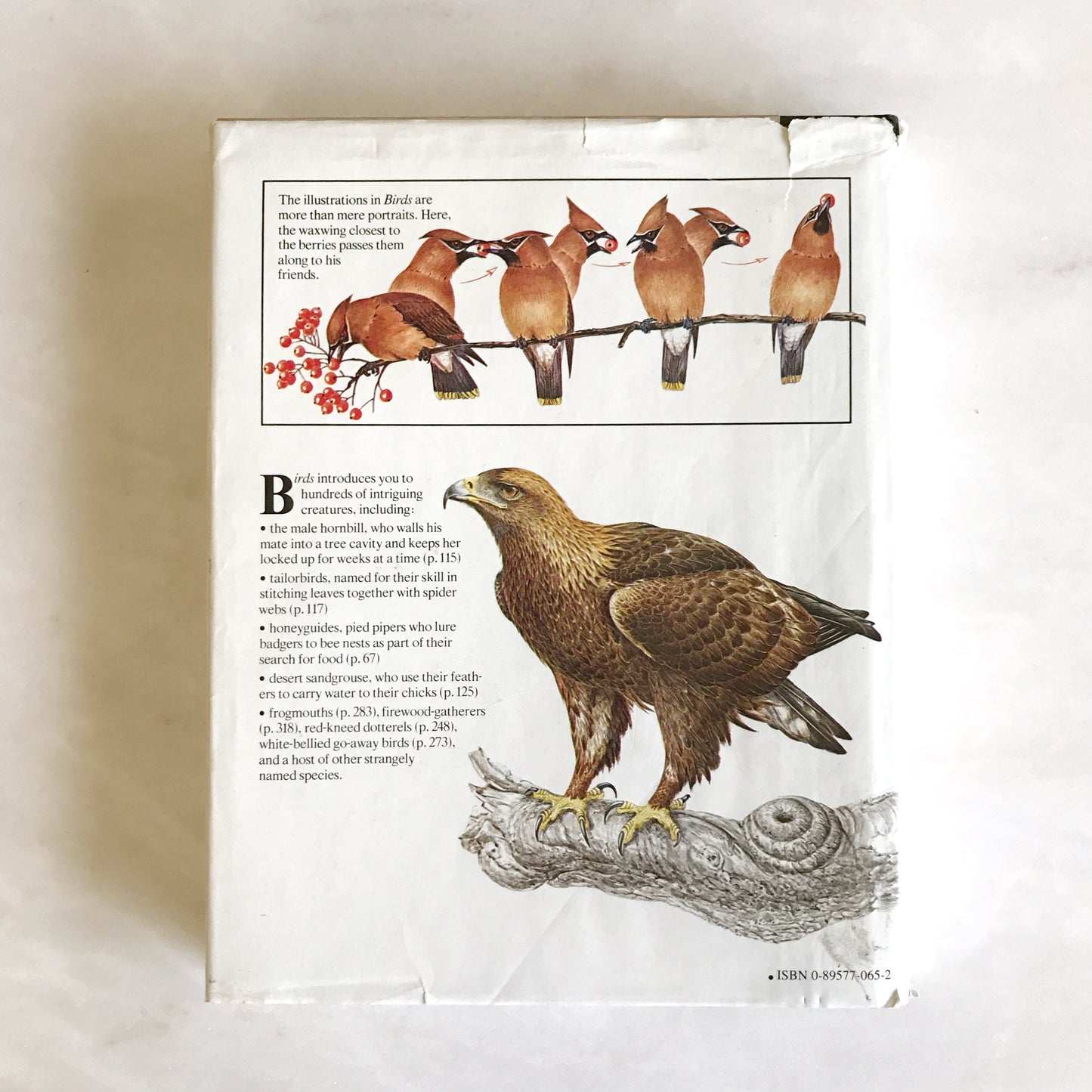 BIRDS: Their Life, Their Ways, Their World