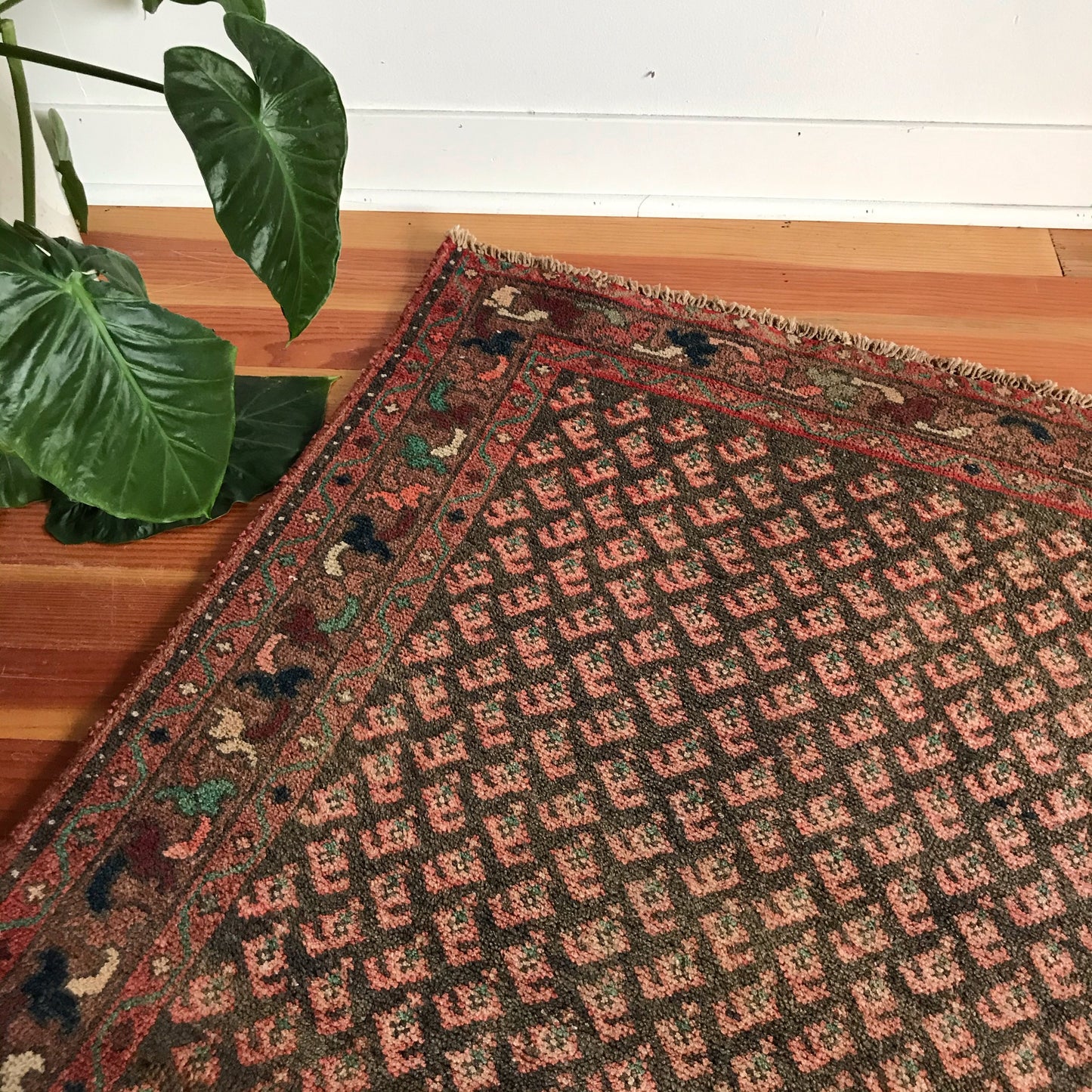 "EMMA" Vintage Hand-knotted Rug (3.4 x 4.9)