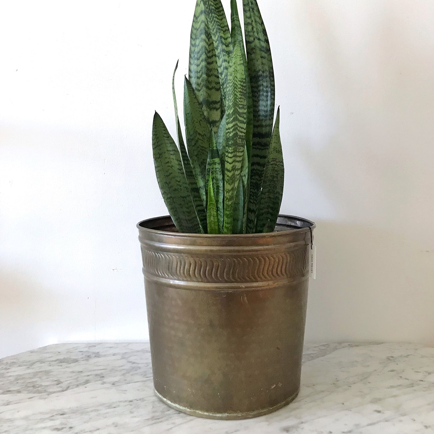 XL Brass Indoor Tree Planter, Swirl Border