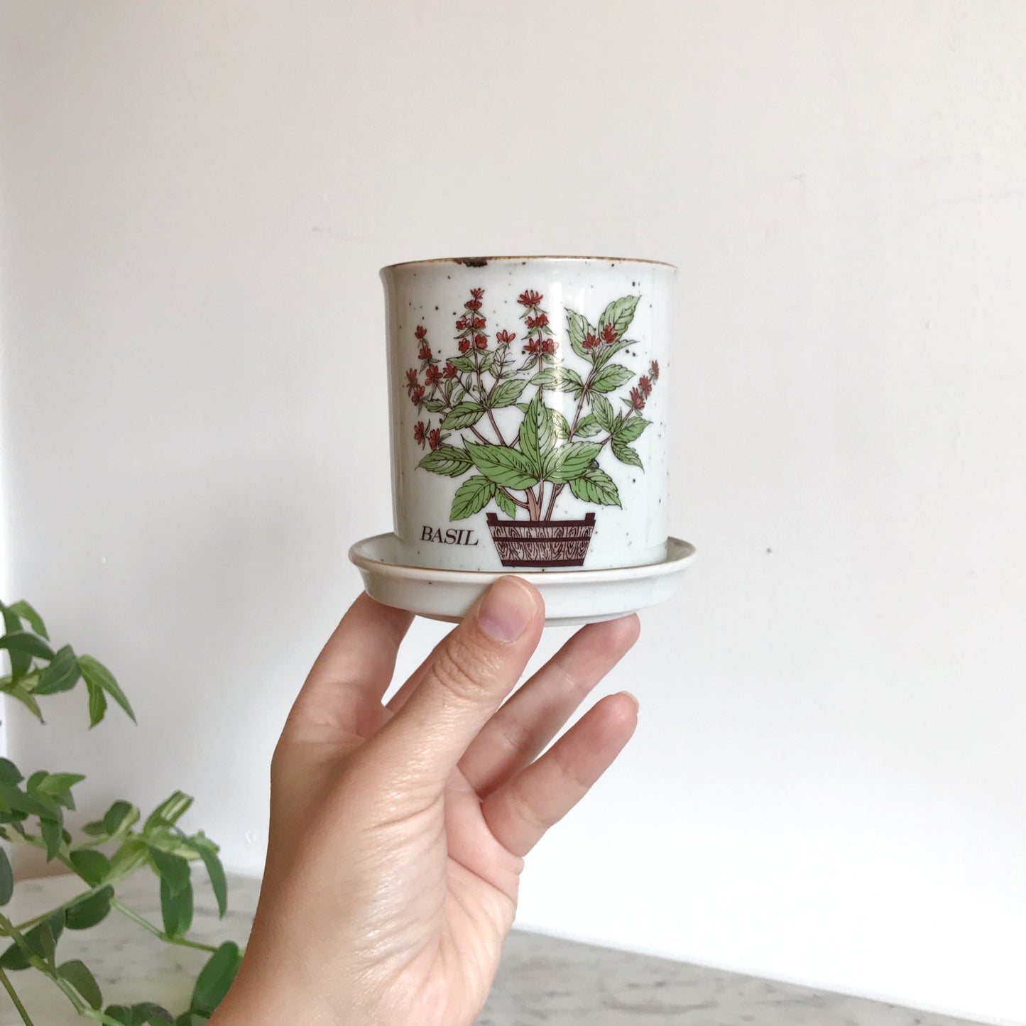 Vintage Ceramic “Basil” Planter, Japan