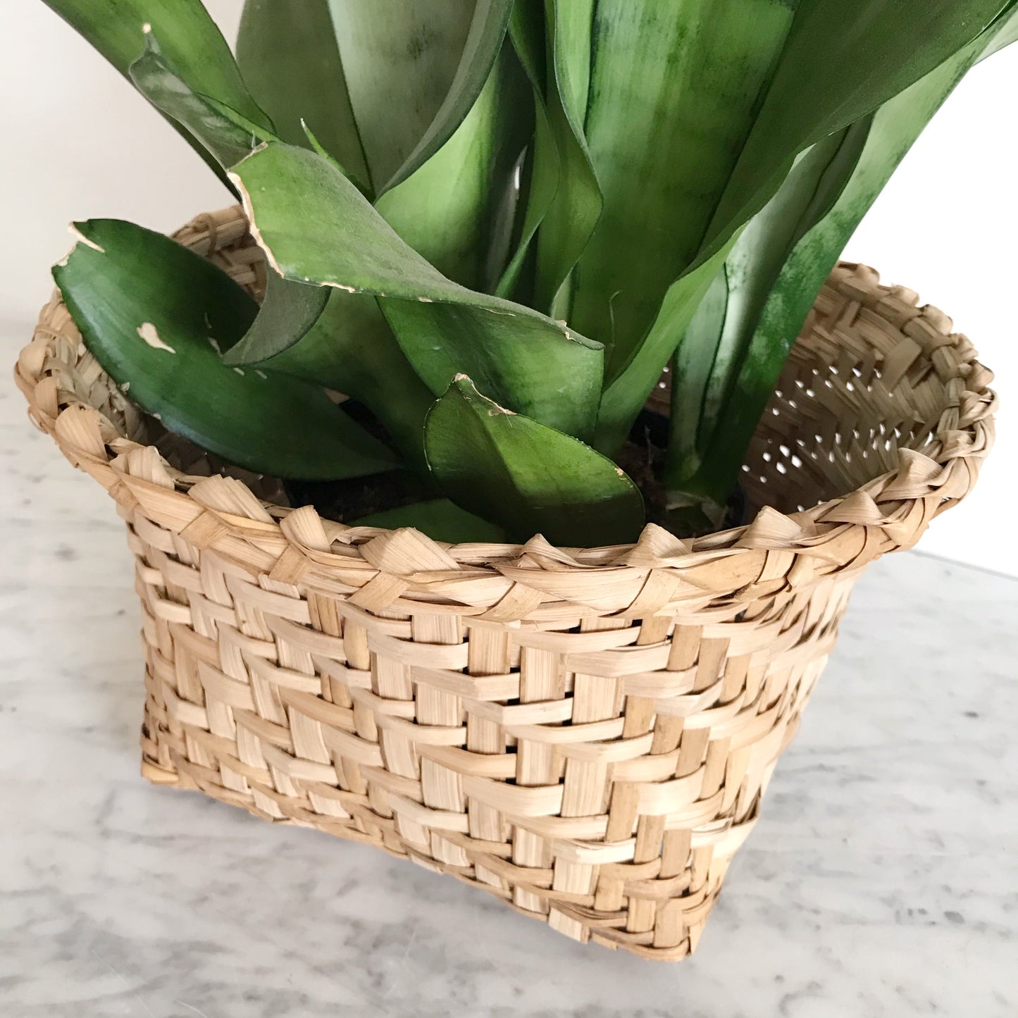 Vintage Natural Woven Basket, Ecuador