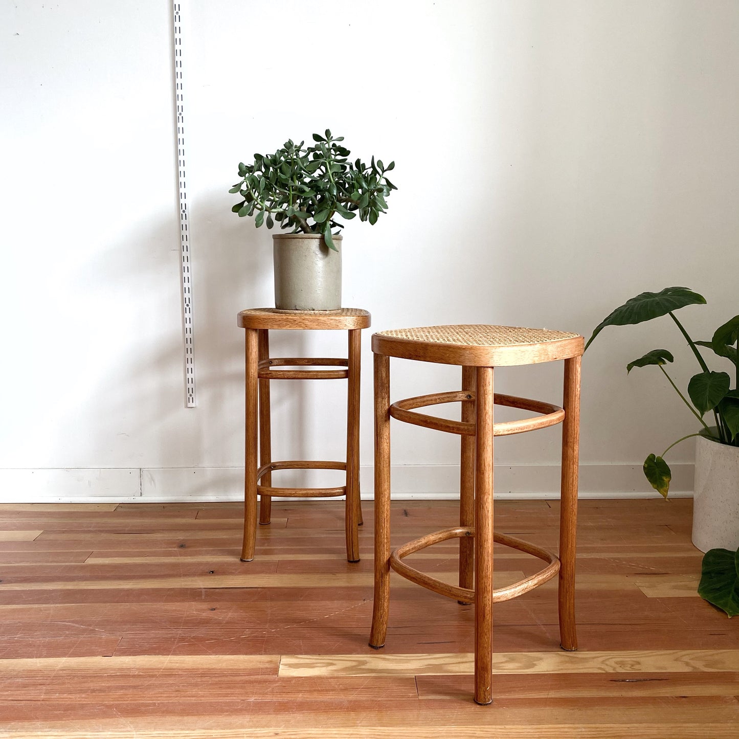 Pair of Bentwood Stools with Cane Seats