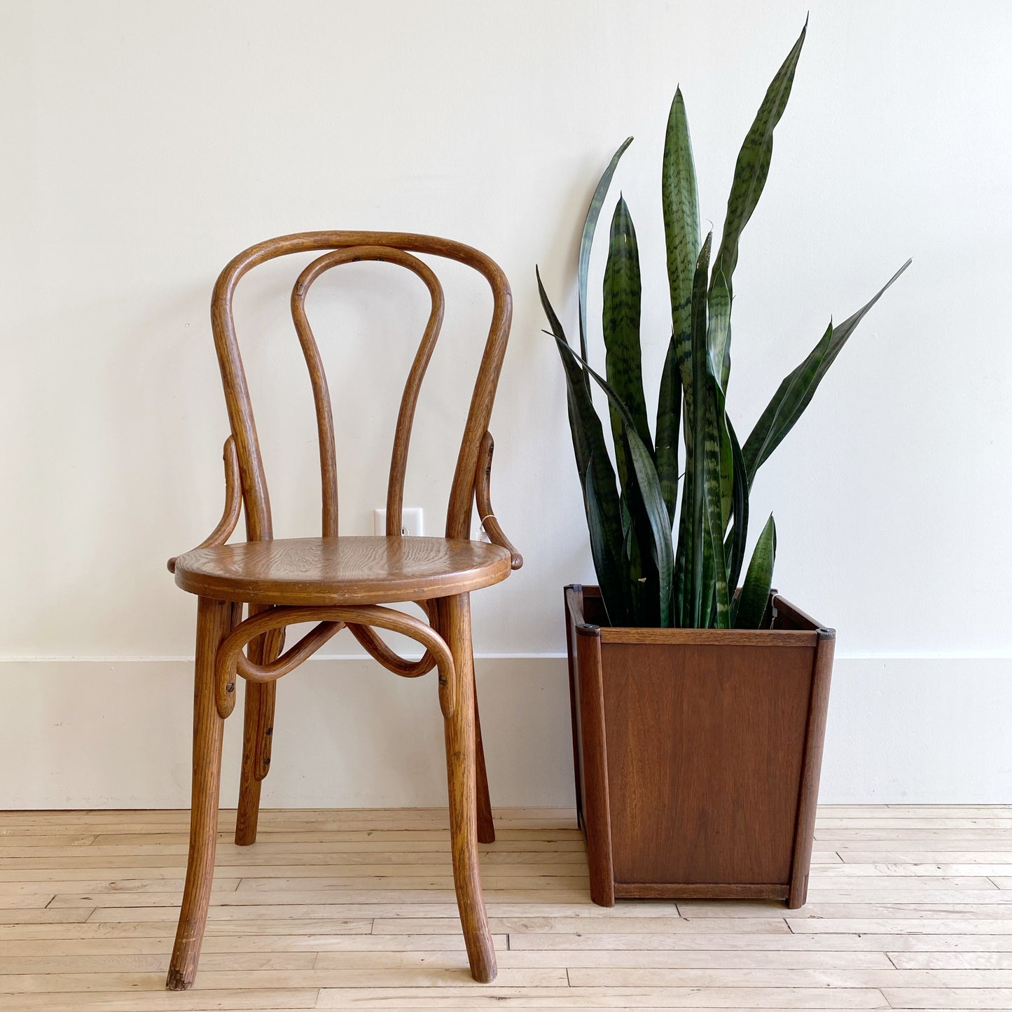 Vintage Thonet-style Bentwood Chair