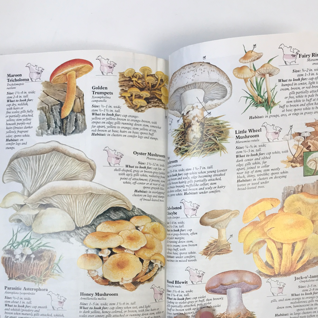 Book: Reader’s Digest North American Wildlife