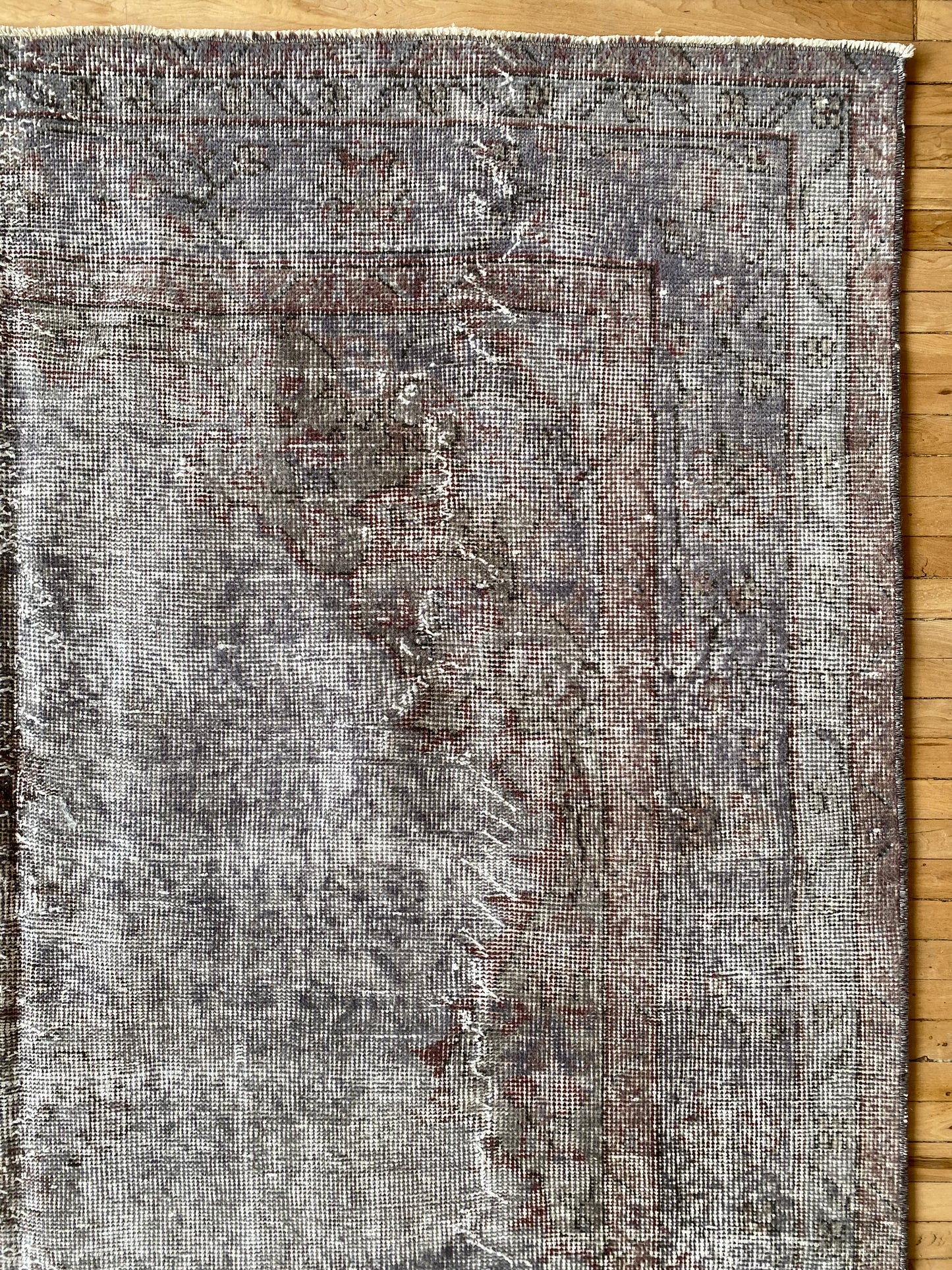 ASHTON : Hand-knotted Area Rug (5.6 x 9.5)