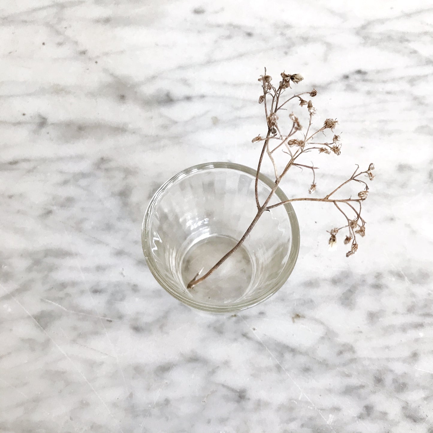 Clear Ribbed-Glass Shot Glass
