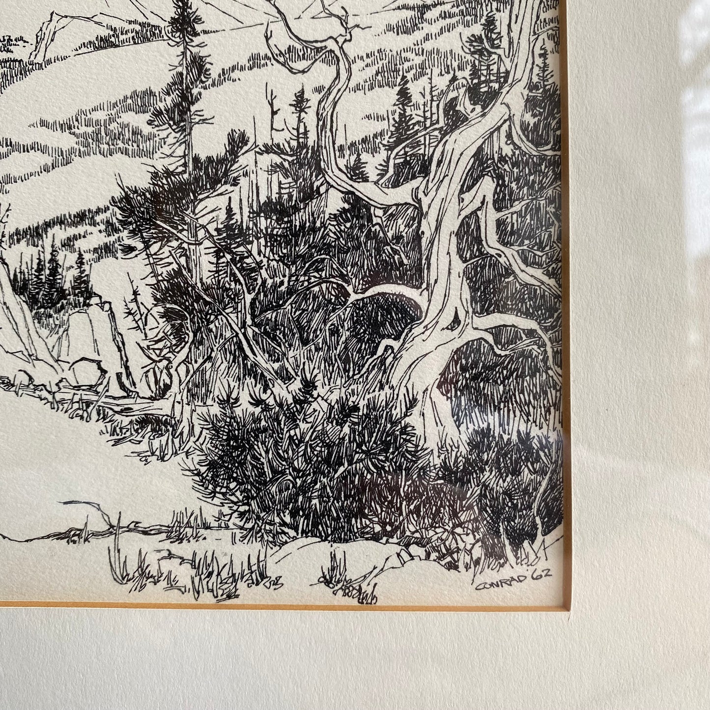 Vintage Framed Nature Etching Print (14 x 17)