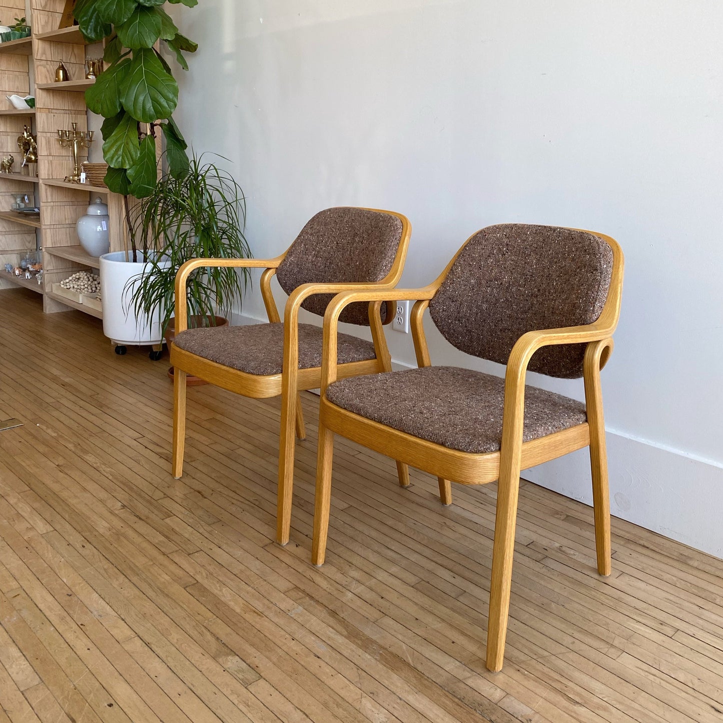 Vintage Bentwood Armchair, Don Pettit for Knoll (Single)