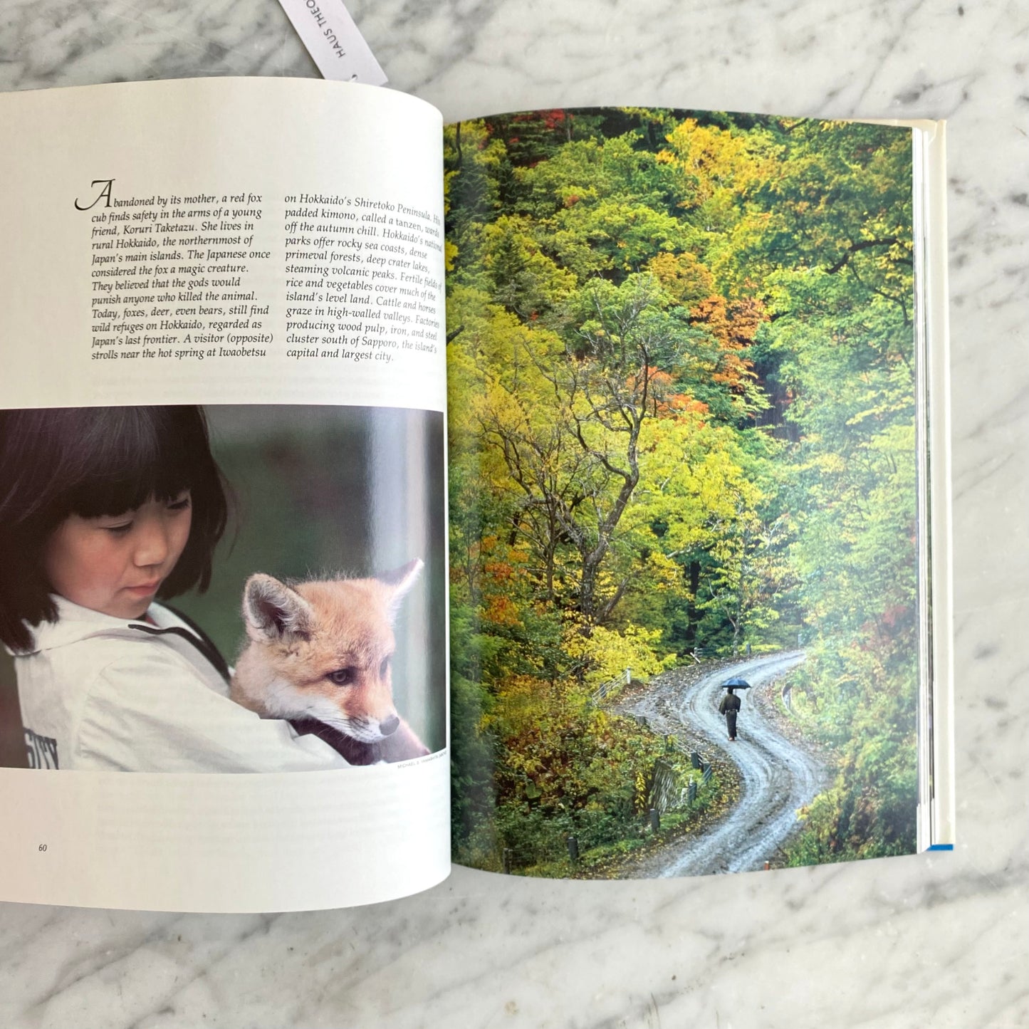 Book: Majestic Island Worlds