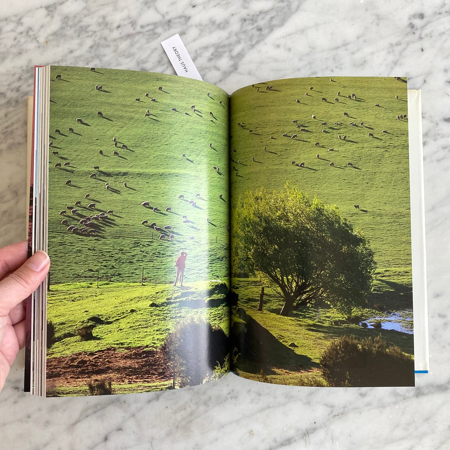 Book: Majestic Island Worlds