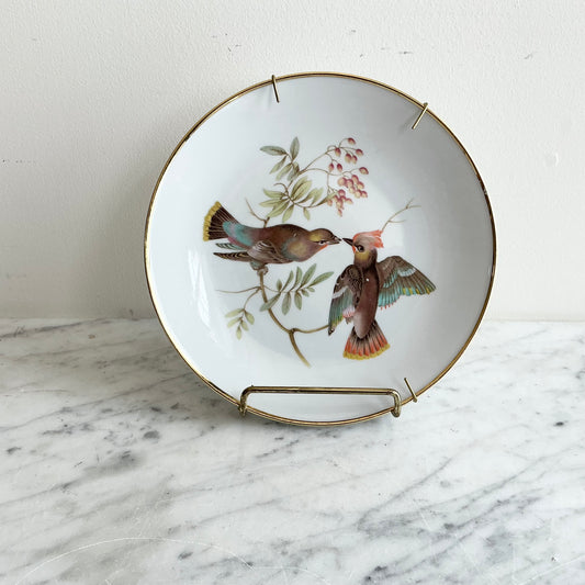 Vintage German Bird Plate by Bavaria