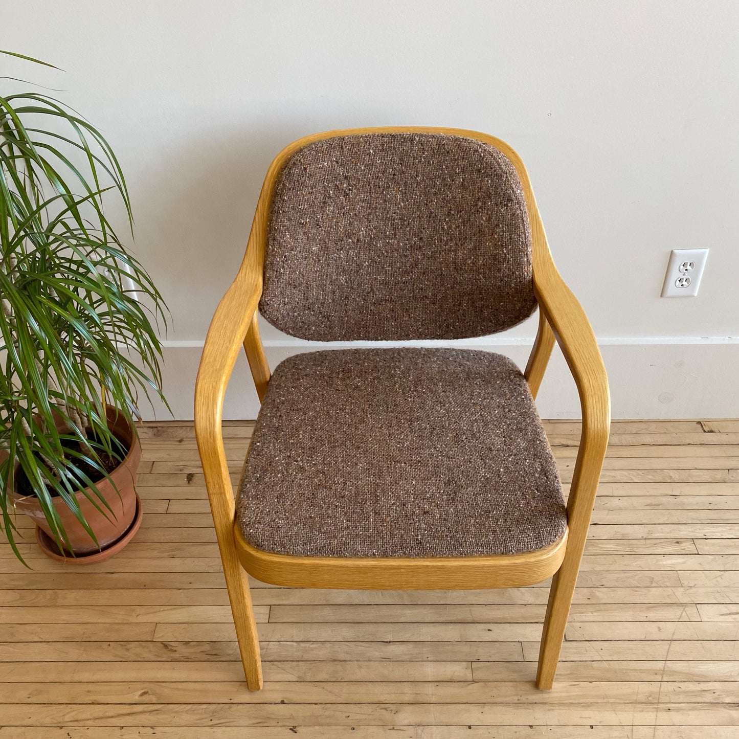 Vintage Bentwood Armchair, Don Pettit for Knoll (Single)