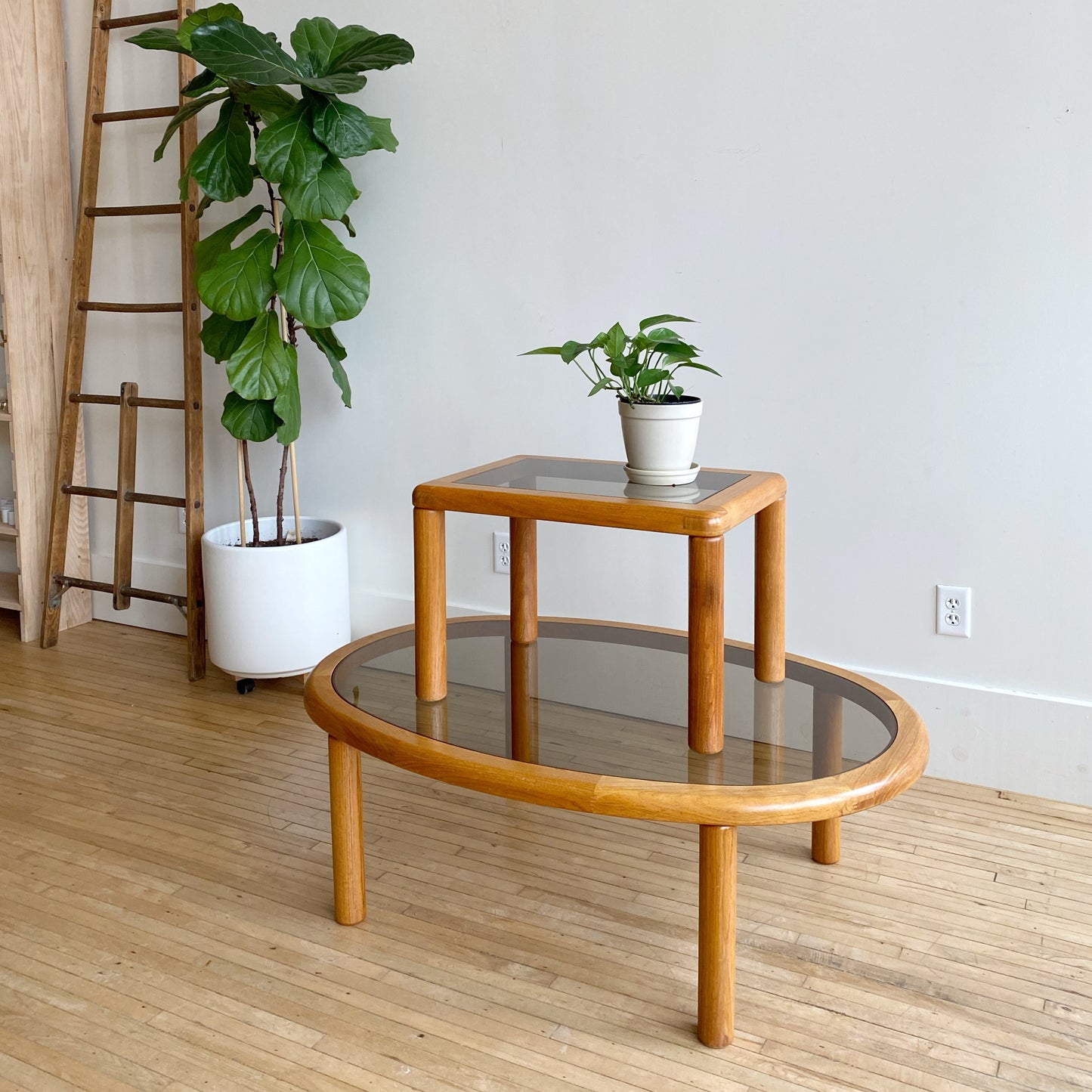 Vintage Oval Teak + Smoked Glass Coffee Table, by Haslev