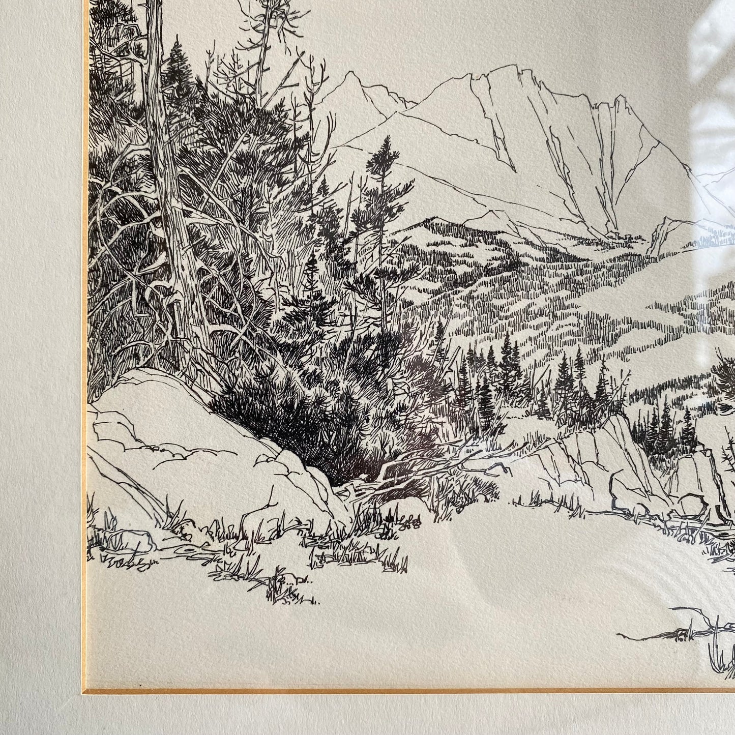 Vintage Framed Nature Etching Print (14 x 17)