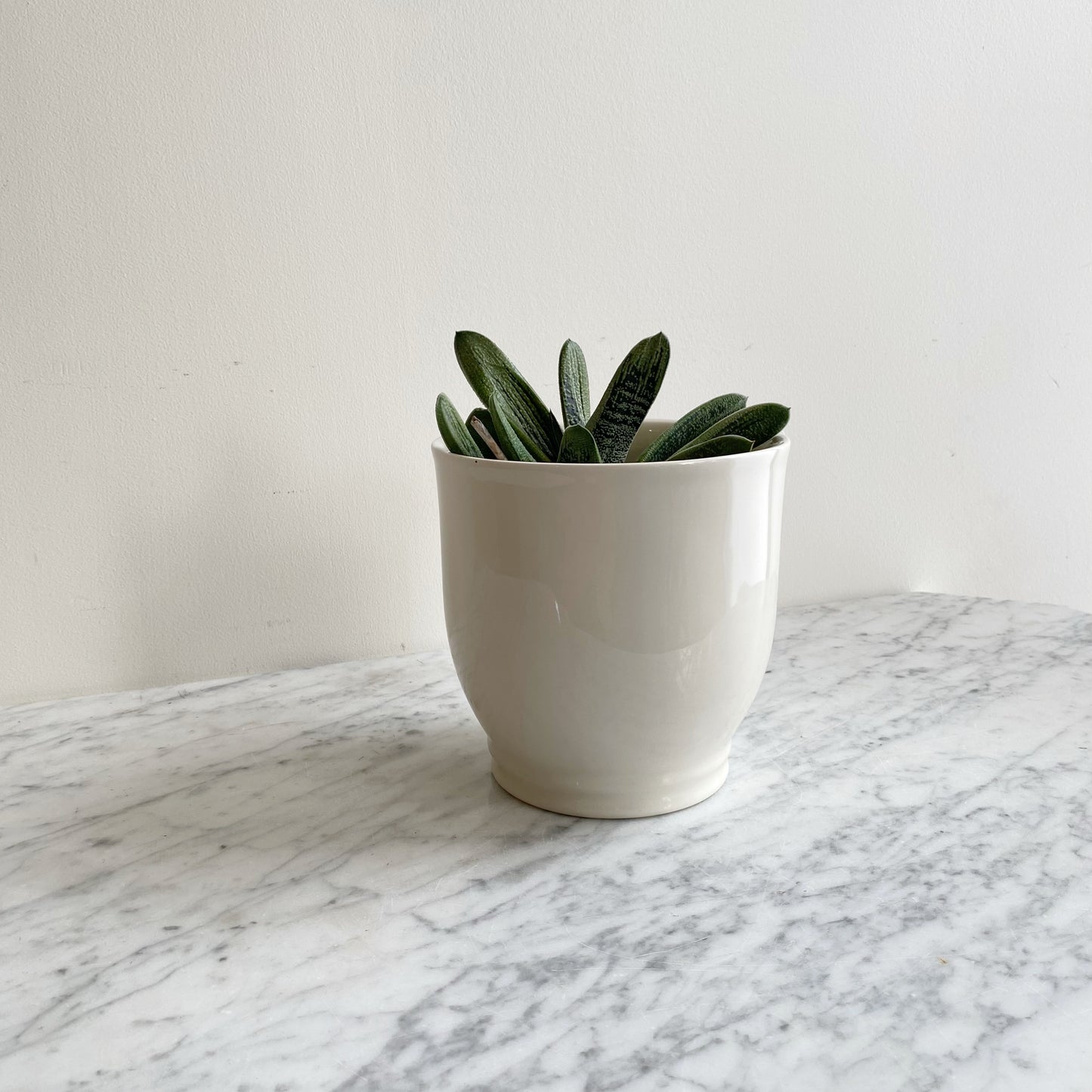 Found Elegant White Ceramic Planter