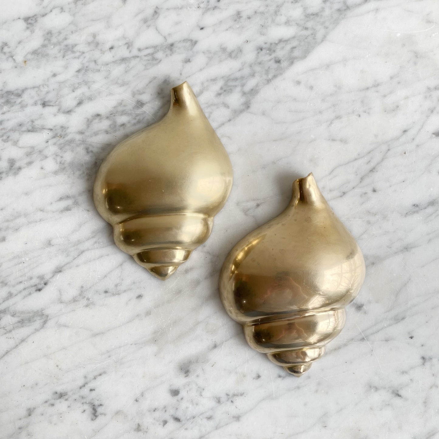 Trio of Large Vintage Brass Seashells