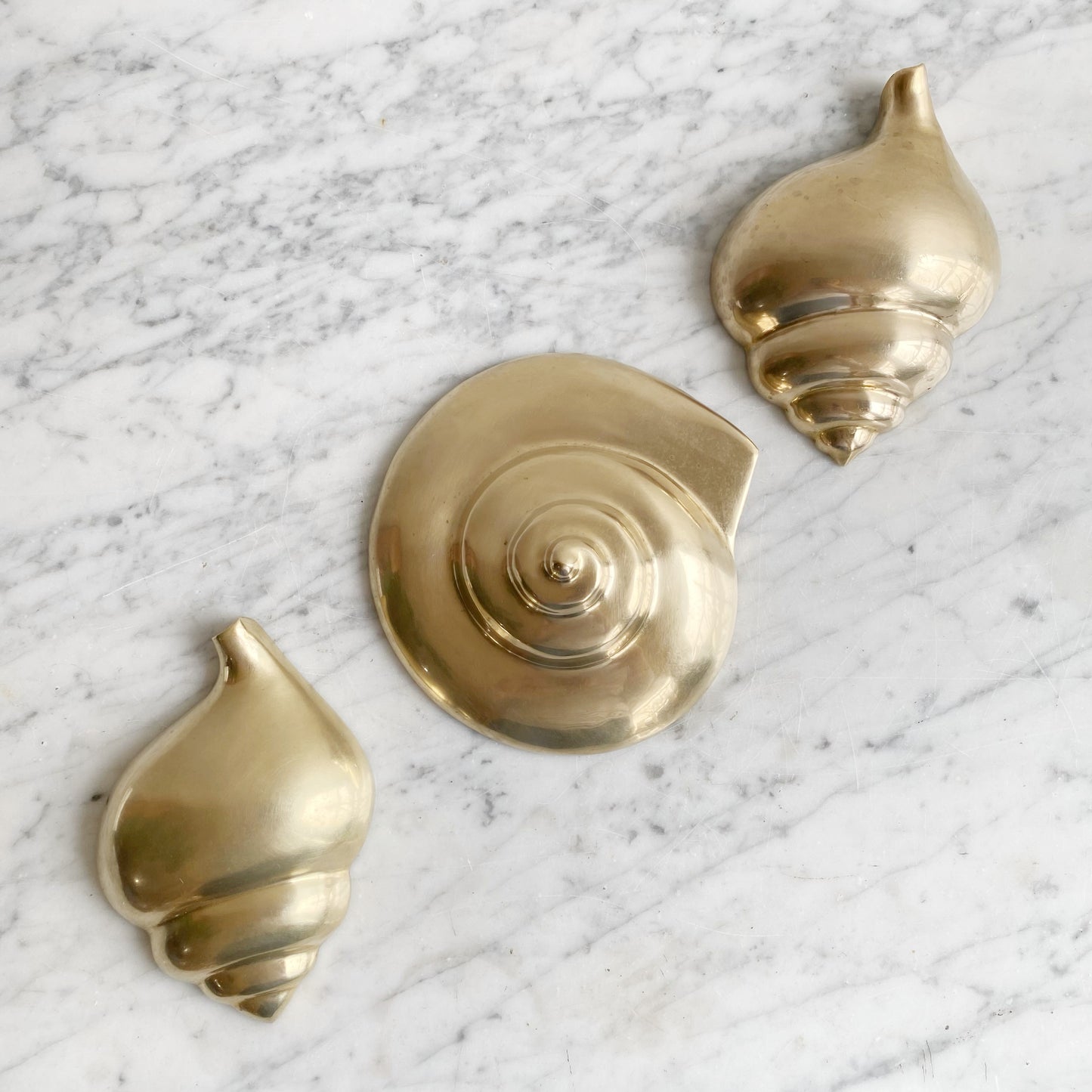 Trio of Large Vintage Brass Seashells