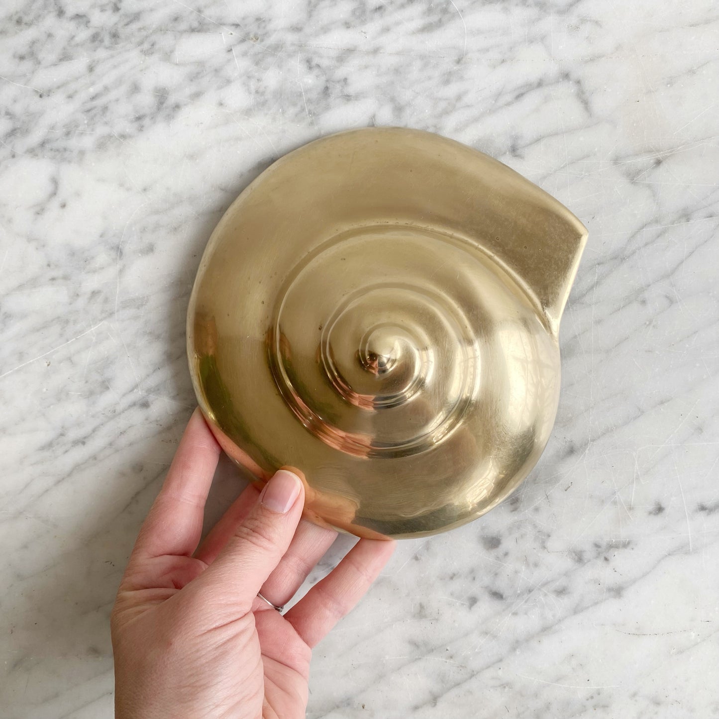 Trio of Large Vintage Brass Seashells