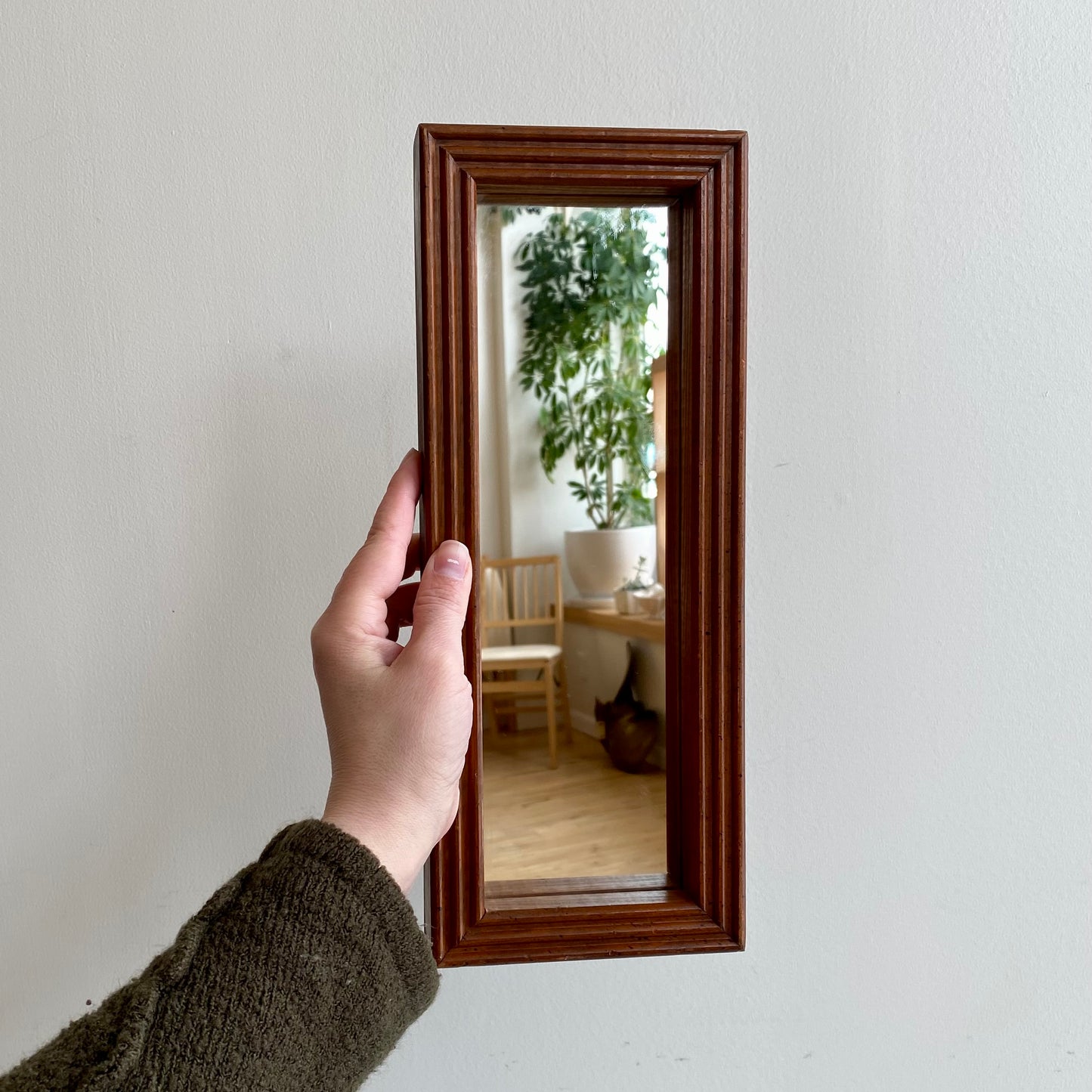 Vintage Narrow Accent Mirror with Wood Frame