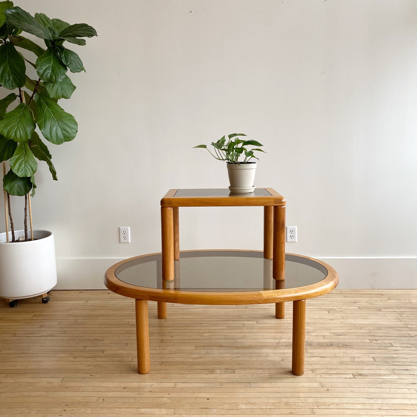 Vintage Oval Teak + Smoked Glass Coffee Table, by Haslev