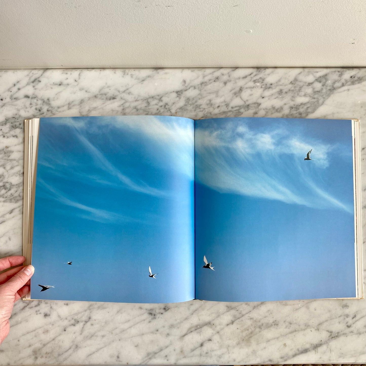 Book: Portraits of Earth, Signed (1987)