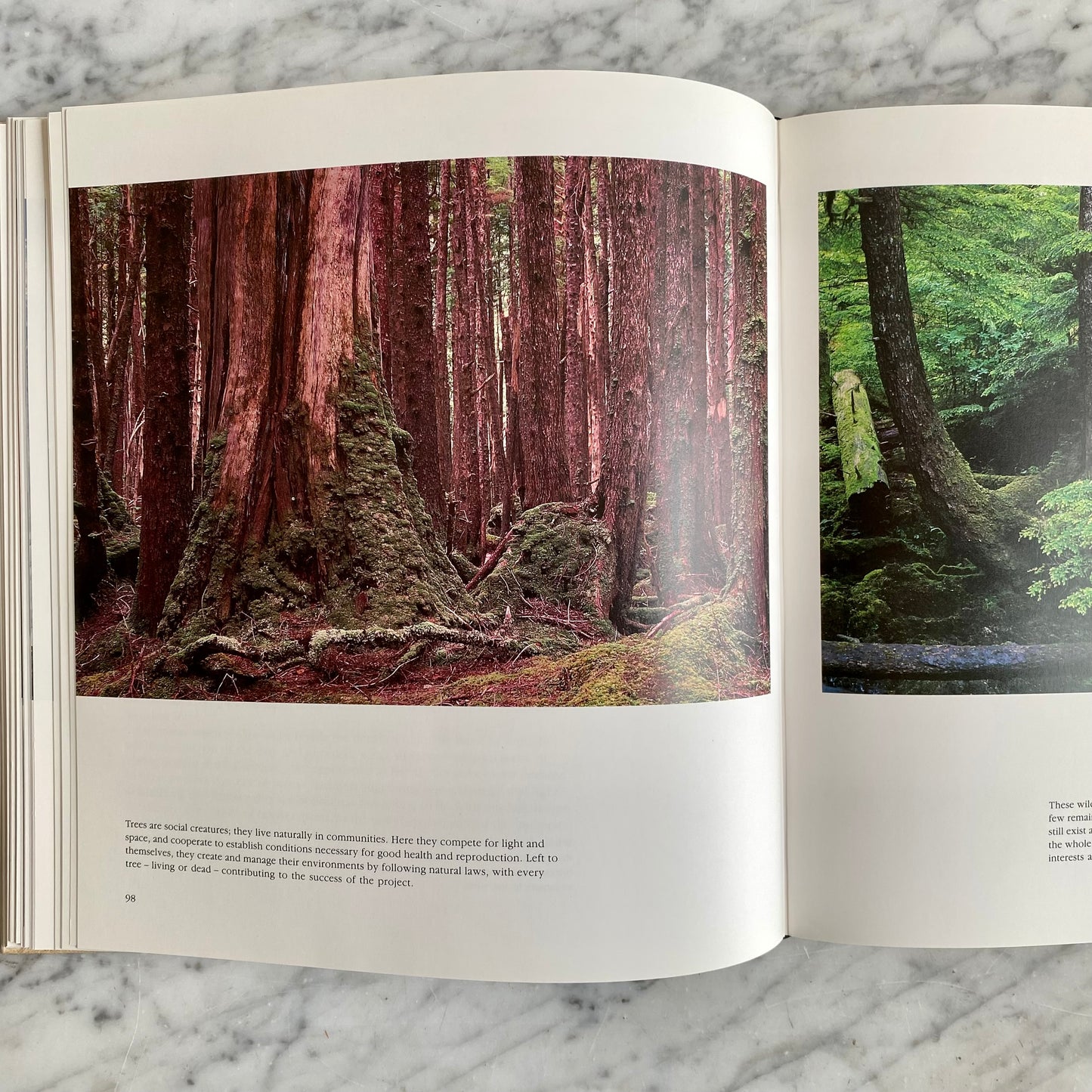 Book: Portraits of Earth, Signed (1987)