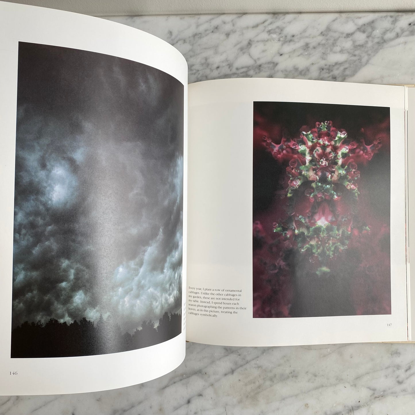 Book: Portraits of Earth, Signed (1987)