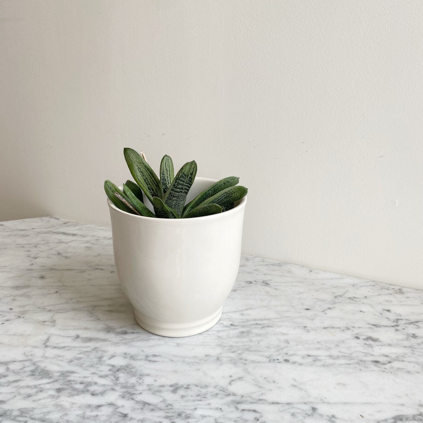 Found Elegant White Ceramic Planter