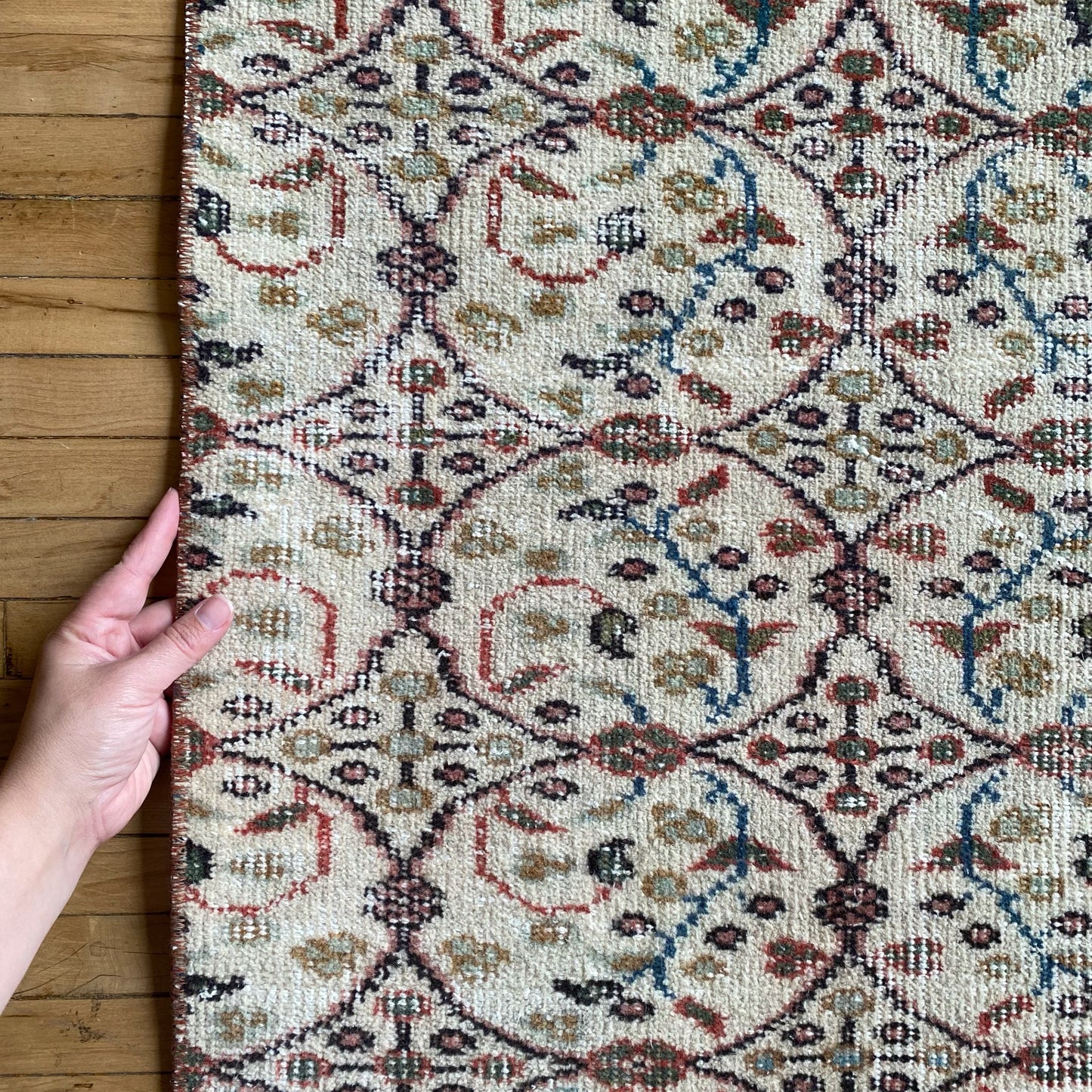 "CELINE" Vintage Hand-knotted Rug (3’7” x 6’6”)