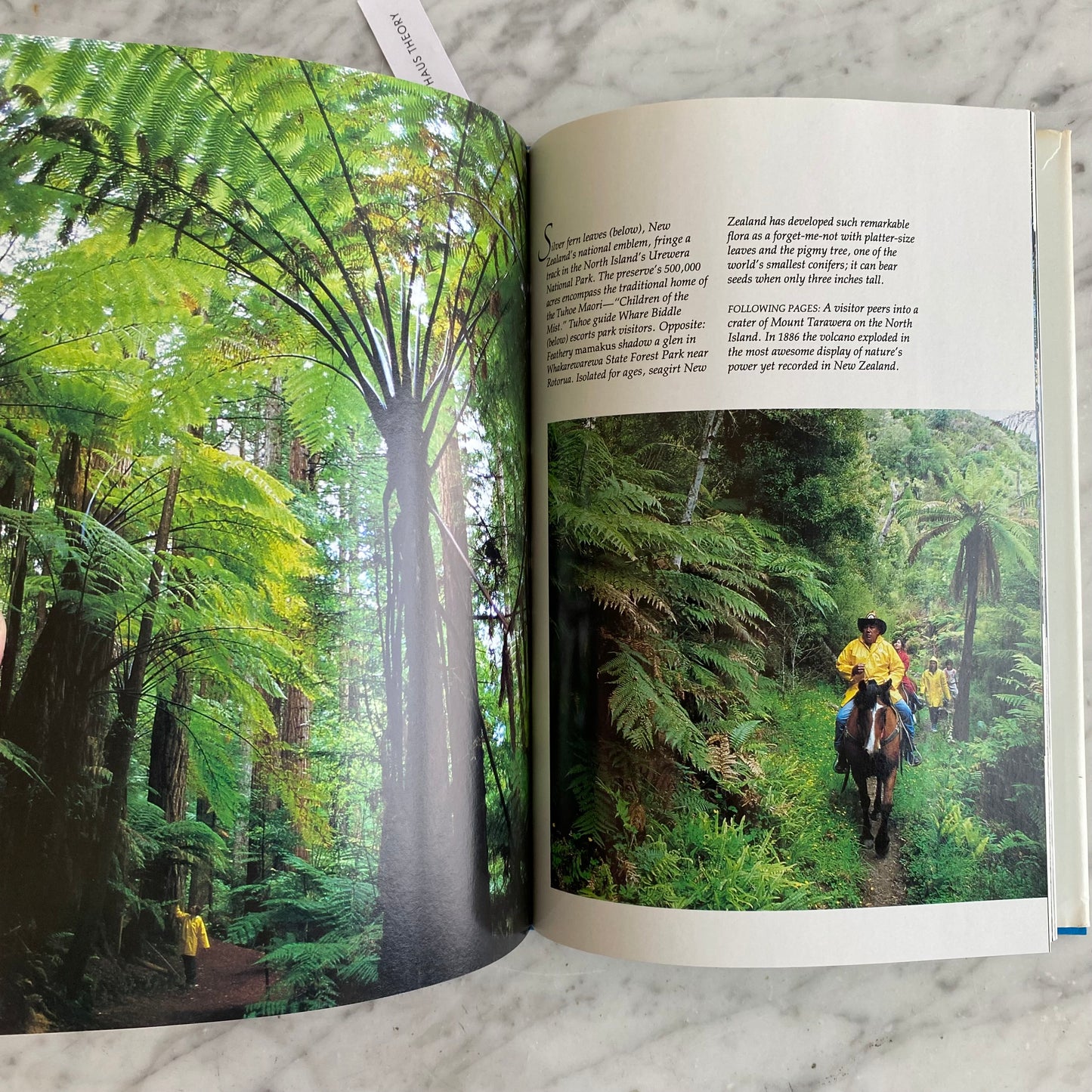 Book: Majestic Island Worlds