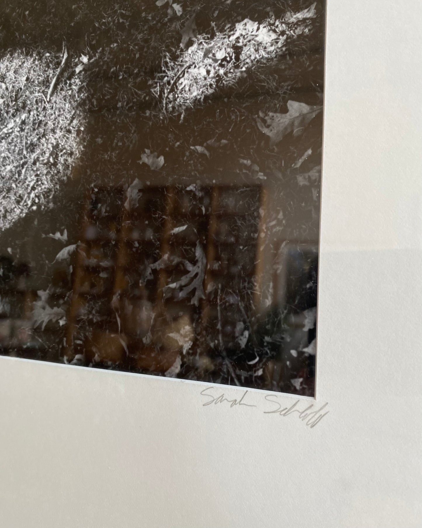 Found Framed Original B&W Shadow Photograph