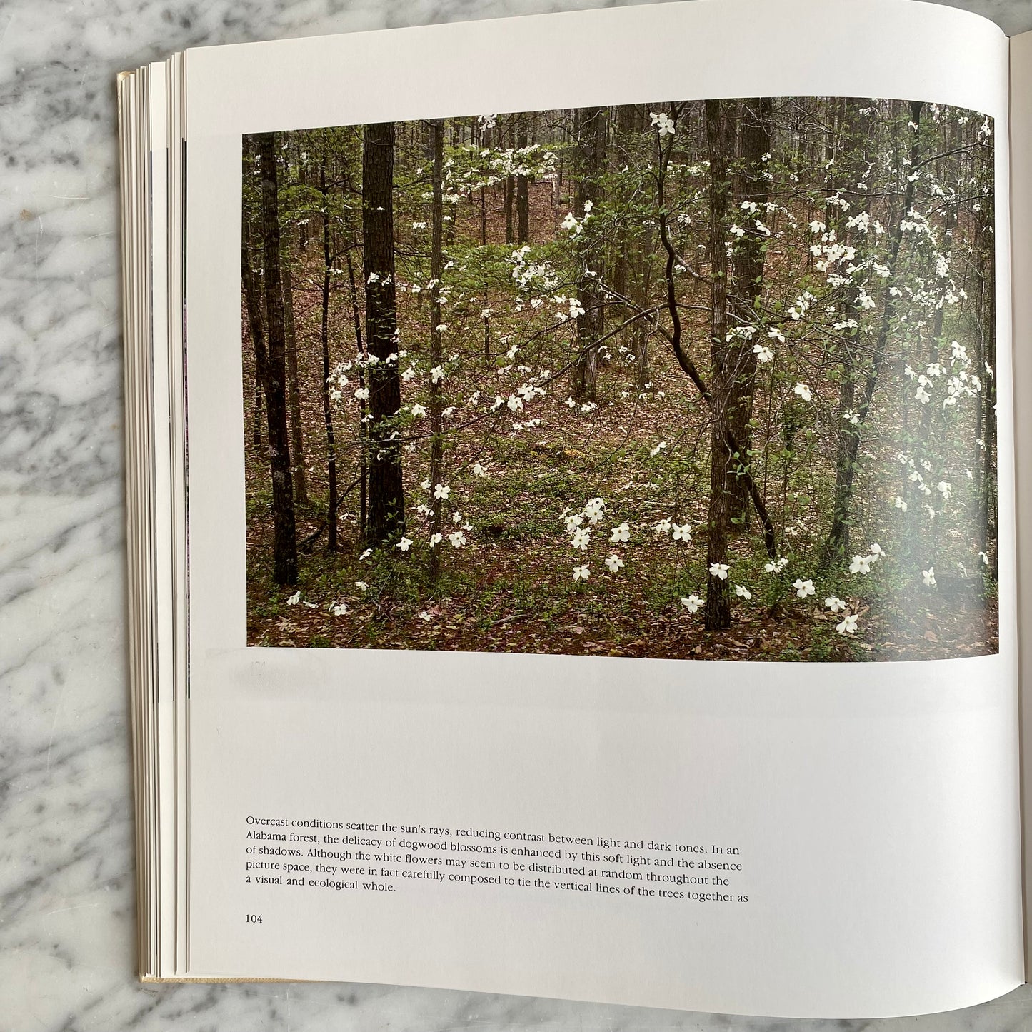 Book: Portraits of Earth, Signed (1987)