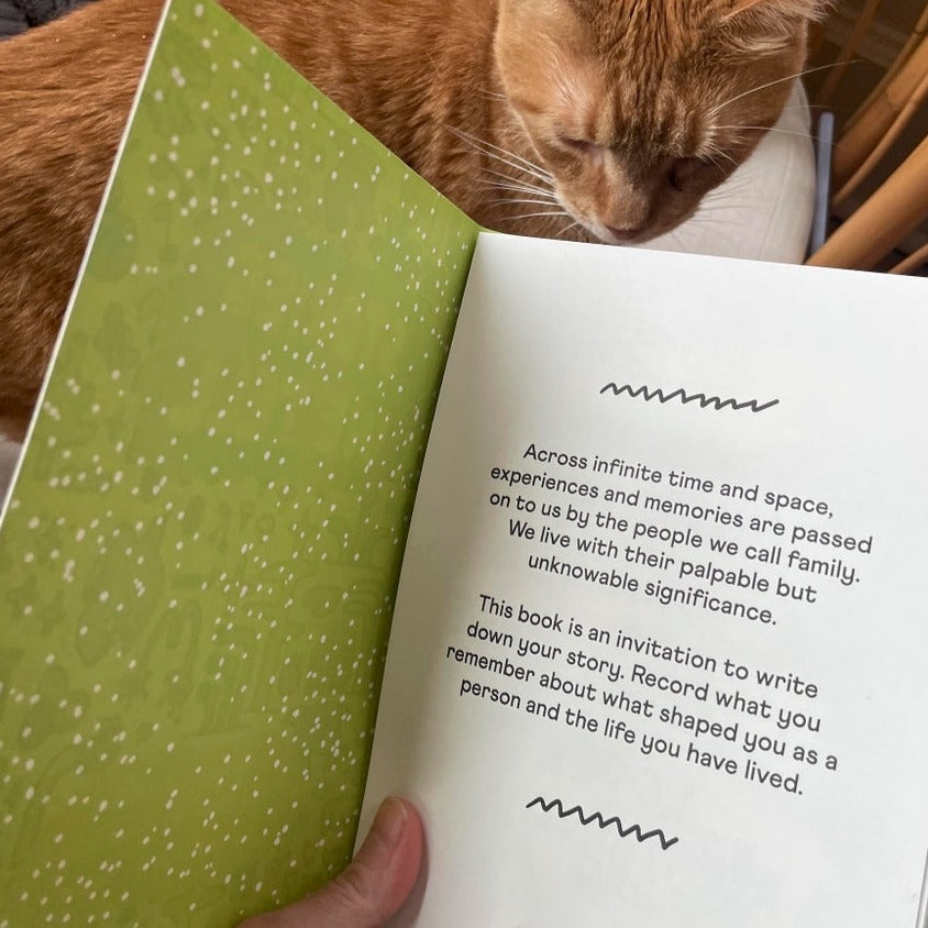Stories We Tell Guided Journal