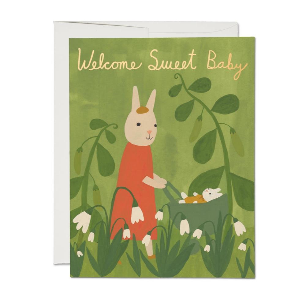 Sweet Bunny Baby Greeting Card