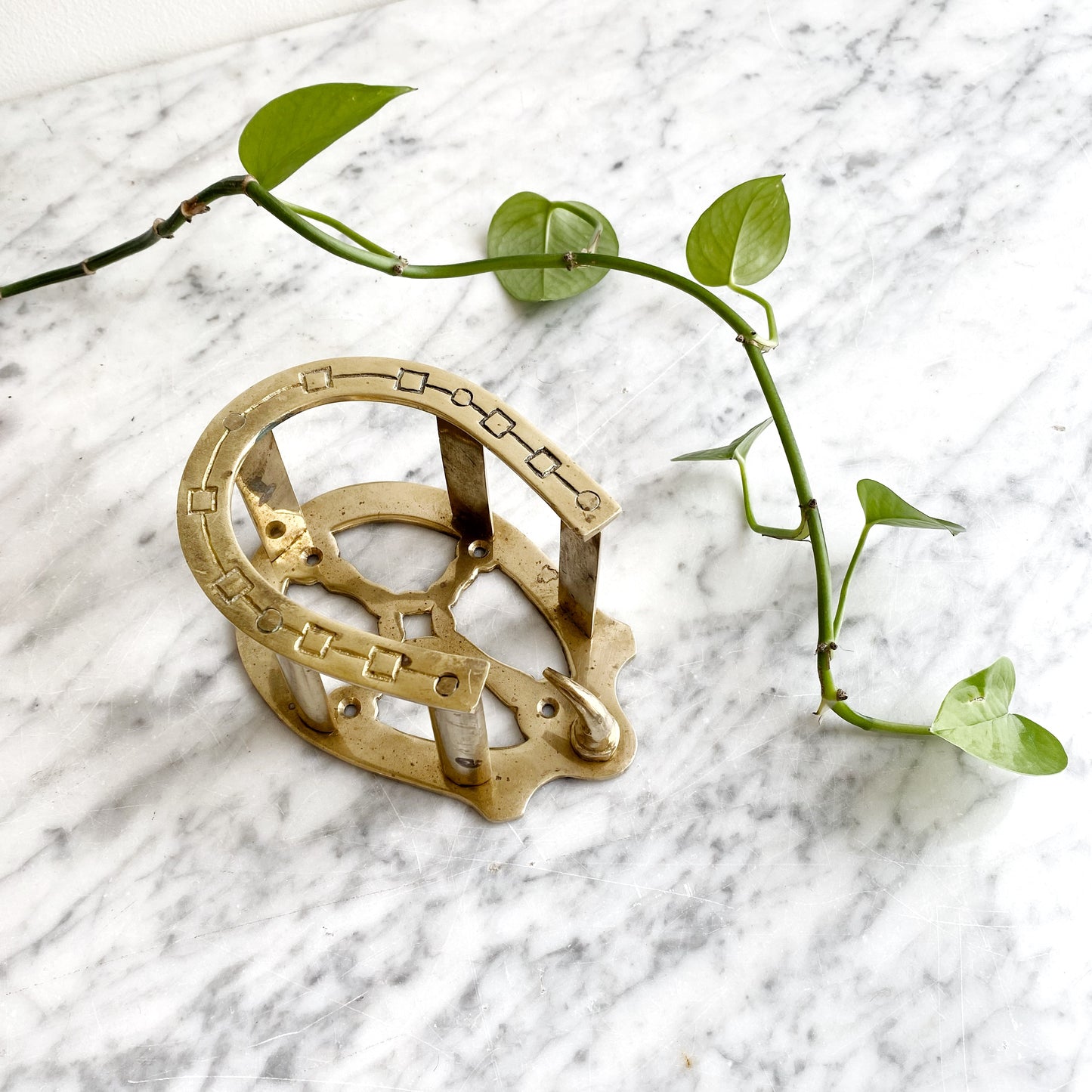 Vintage Brass Horseshoe Wall Hook