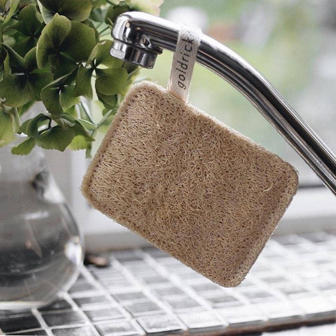 Loofah Dishwashing Sponges (Box of 5)