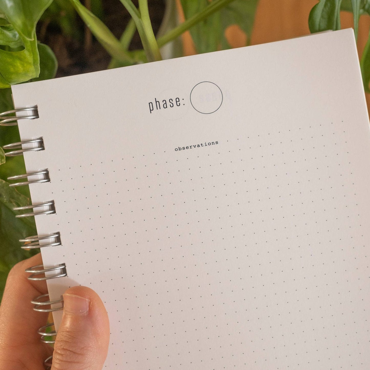 MOON STUDY Reflection Journal