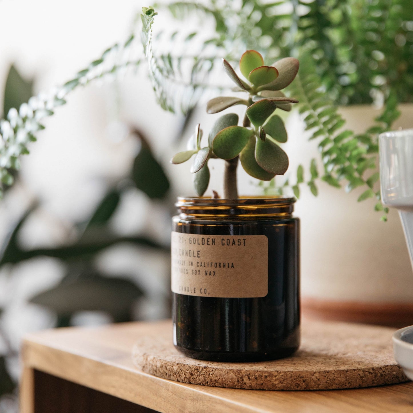 P.F. CANDLE CO. : Standard Soy Candle, Choose