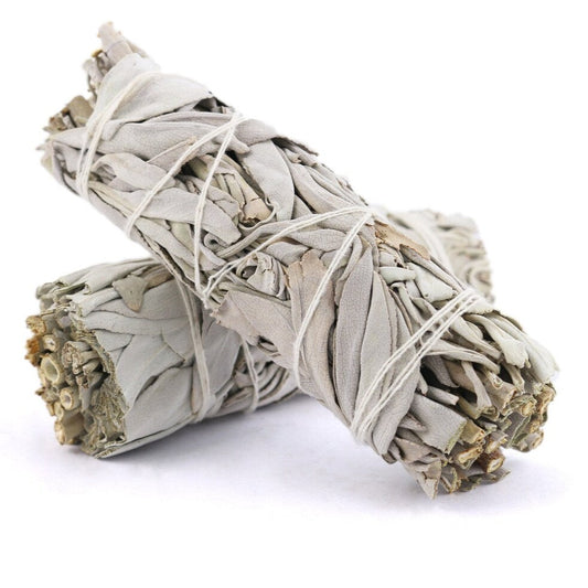 White Sage Bundle