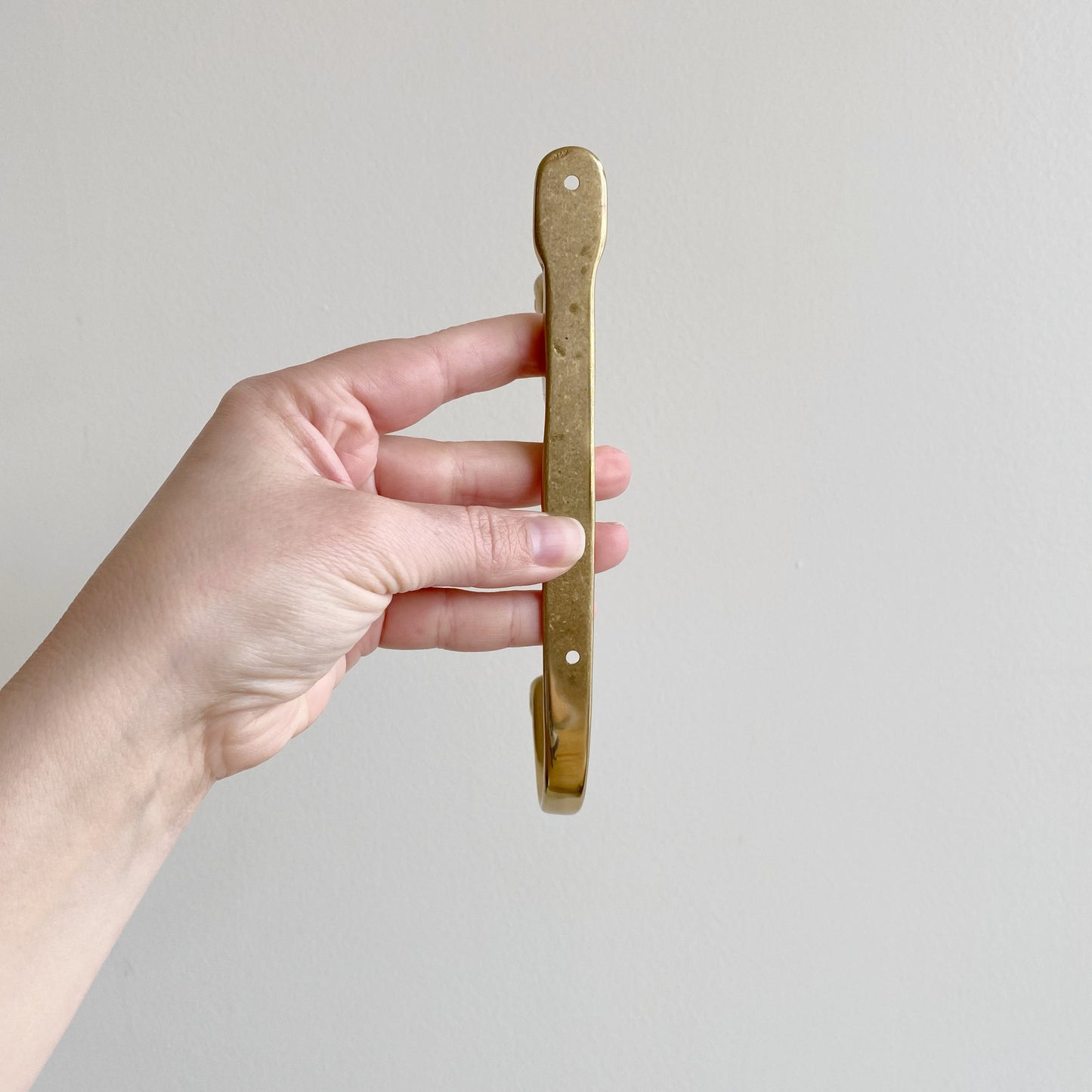 Vintage Brass Double Duck Hook