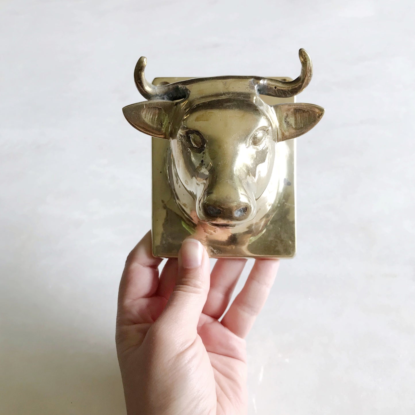 XL Vintage Brass Bull Wall Hook