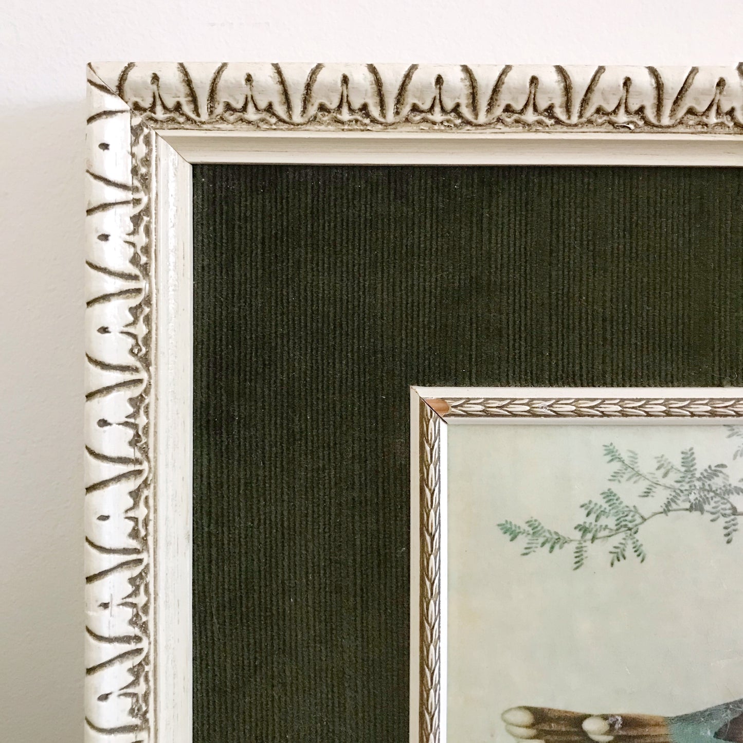 Vintage Peacock Artwork
