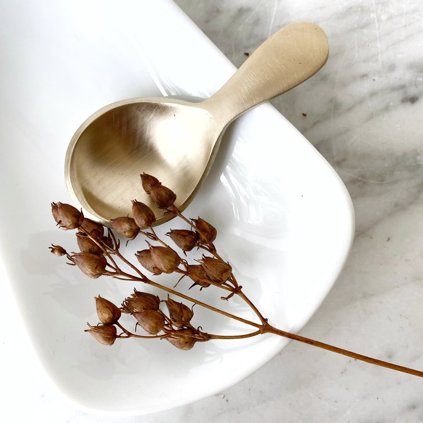 Brass Tea Caddy Spoon