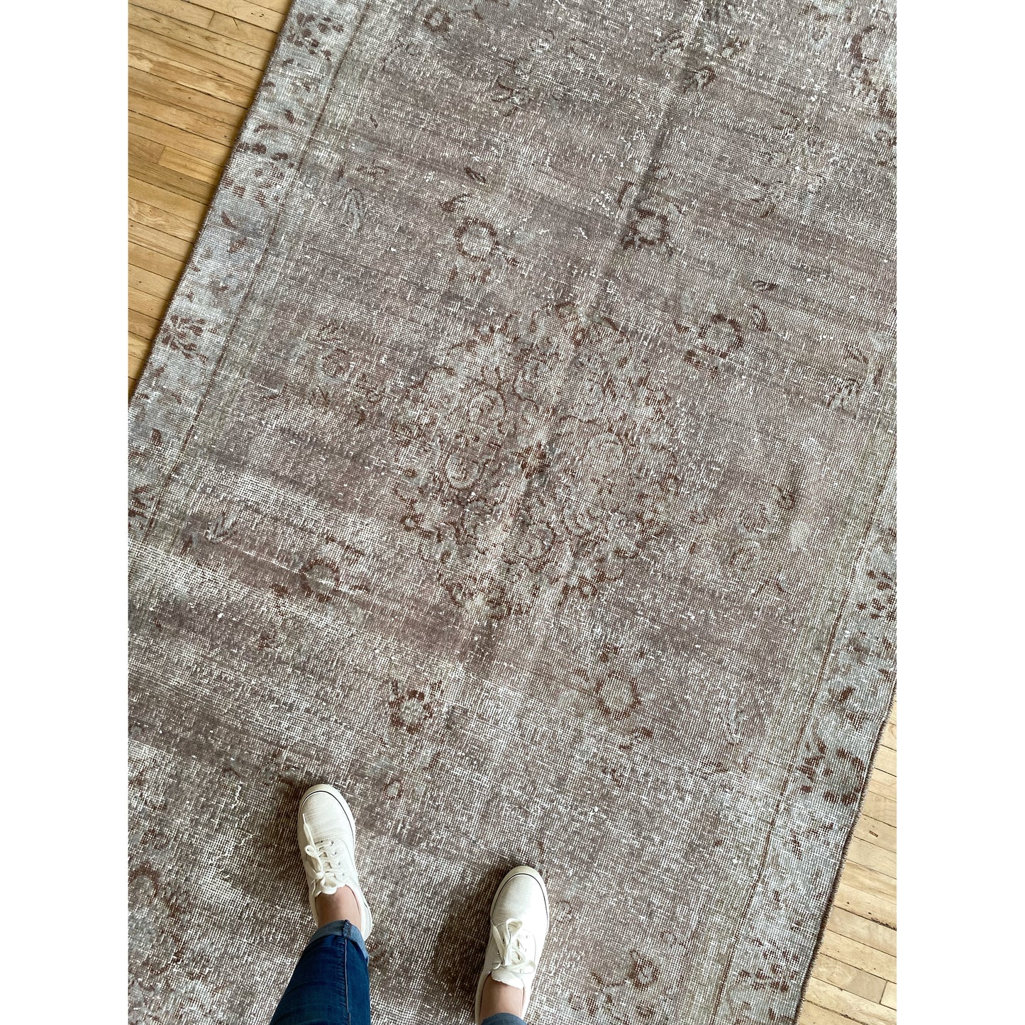 JOSEPHINE : Hand-knotted Wool Area Rug (4.8 X 8.6)