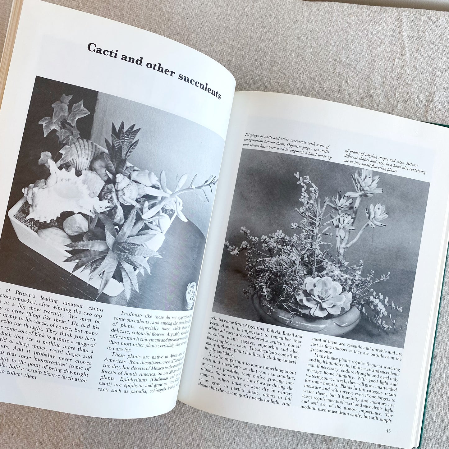 Book: Indoor Plants, 1973