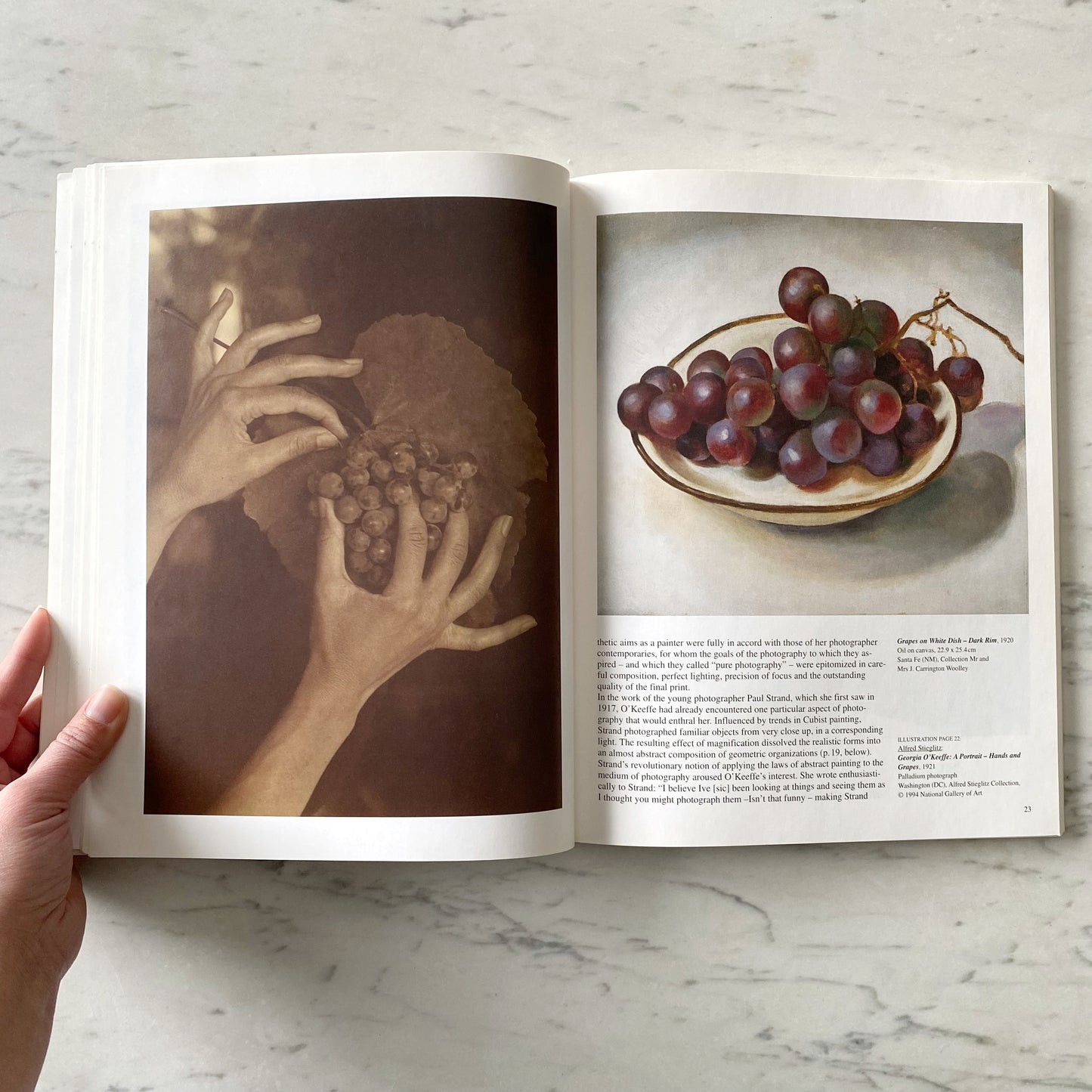 Book: Georgia O'Keeffe: Flowers in the Desert