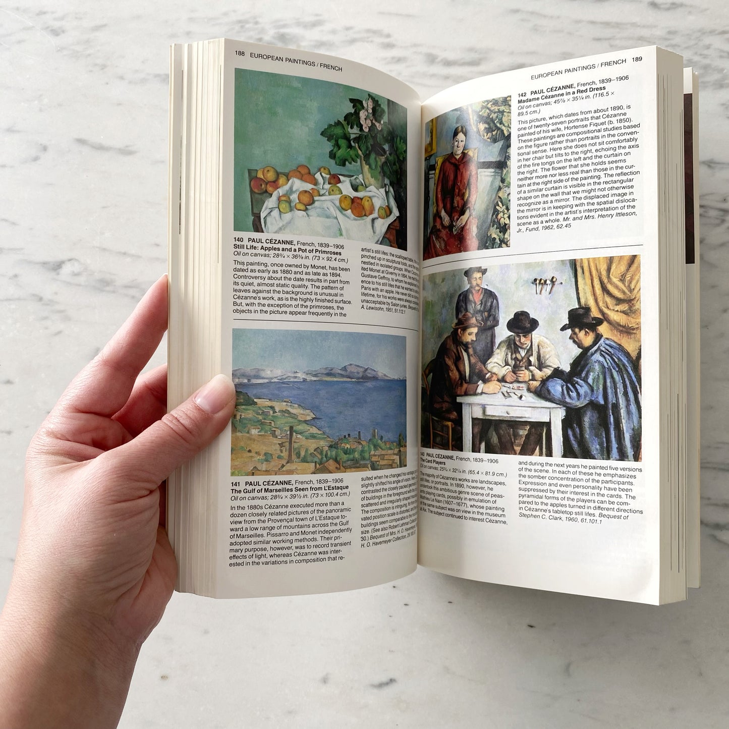 Book: Metropolitan Museum of Art (Guide), 1983