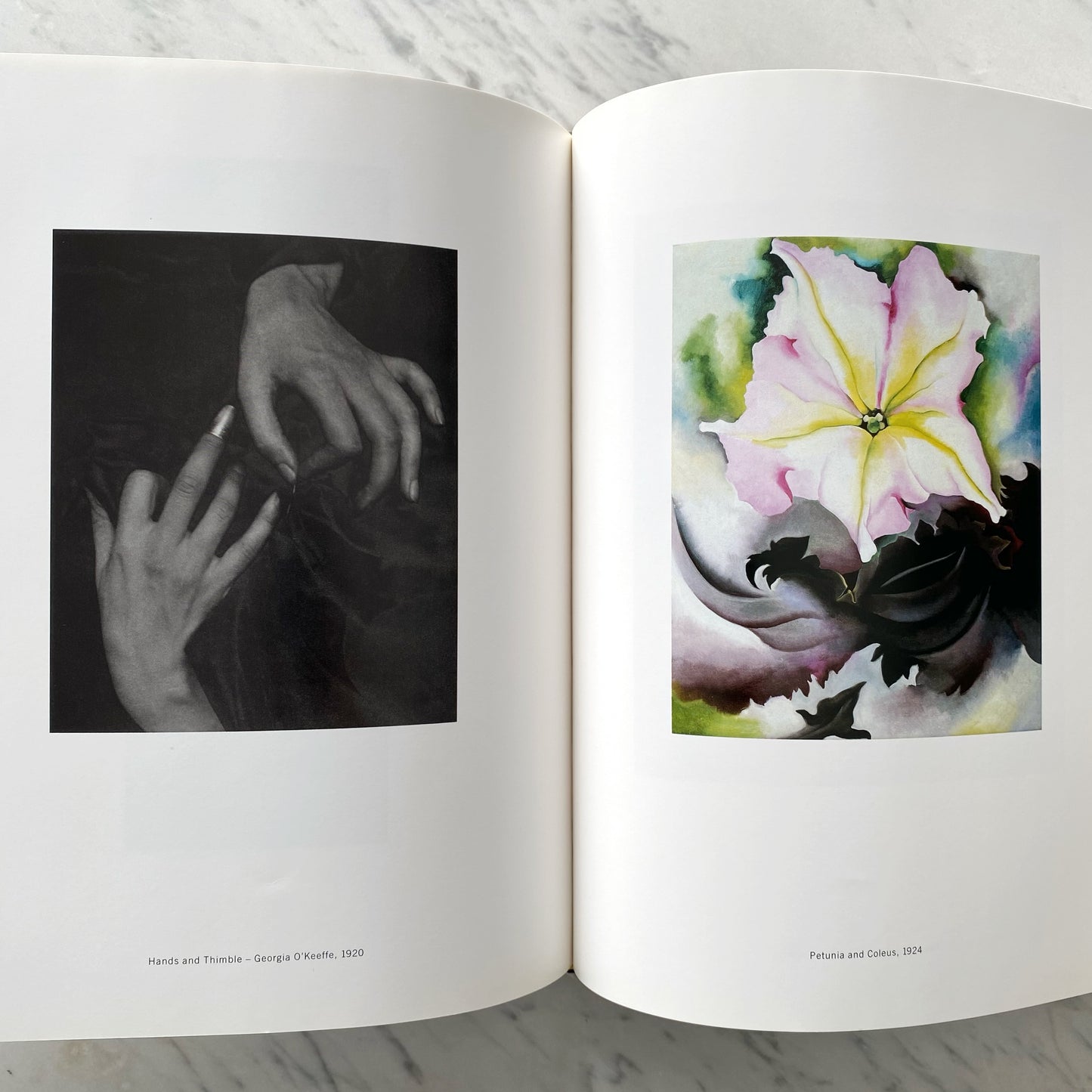 Book: Two Lives: A Conversation in Paintings & Photographs(1992)